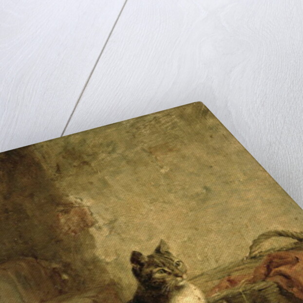 Cats, 1883 by Julius Adam