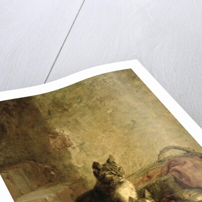 Cats, 1883 by Julius Adam