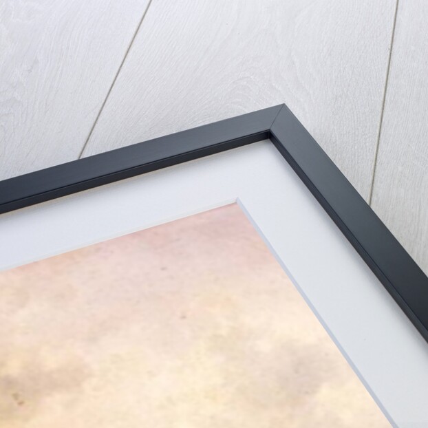 A Dutch canal scene, 1866 by Charles-Henri-Joseph Leickert