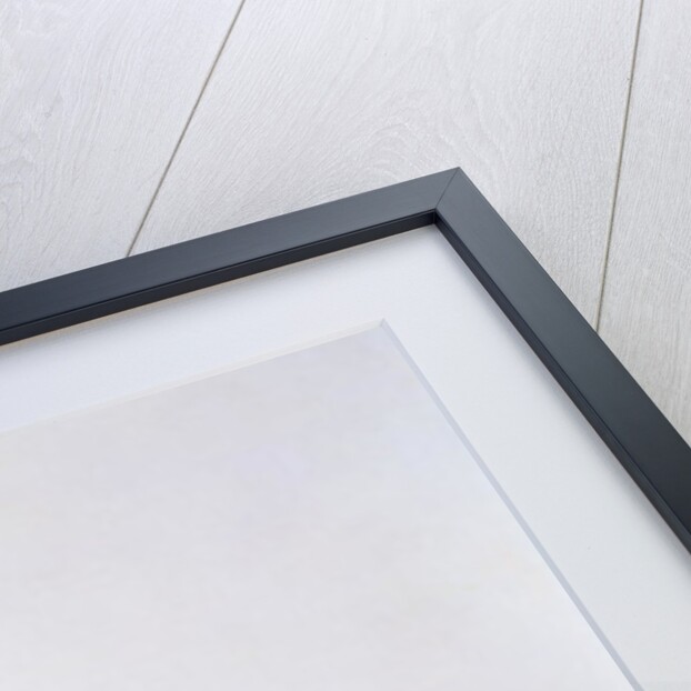 Franz Schubert, 1825 by Wilhelm August Rieder