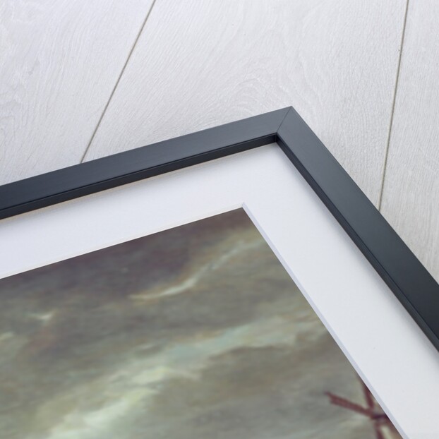 Skaters by Willem Kool or Koolen