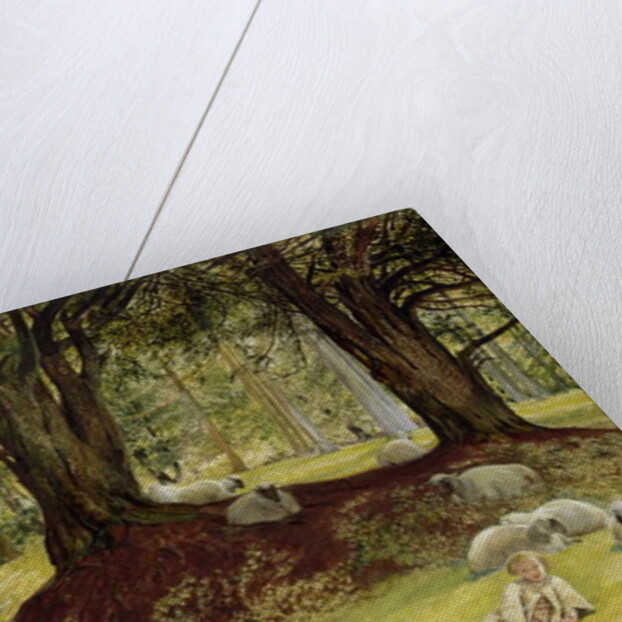 Parkhurst Woods, Abinger, Surrey by Richard Redgrave