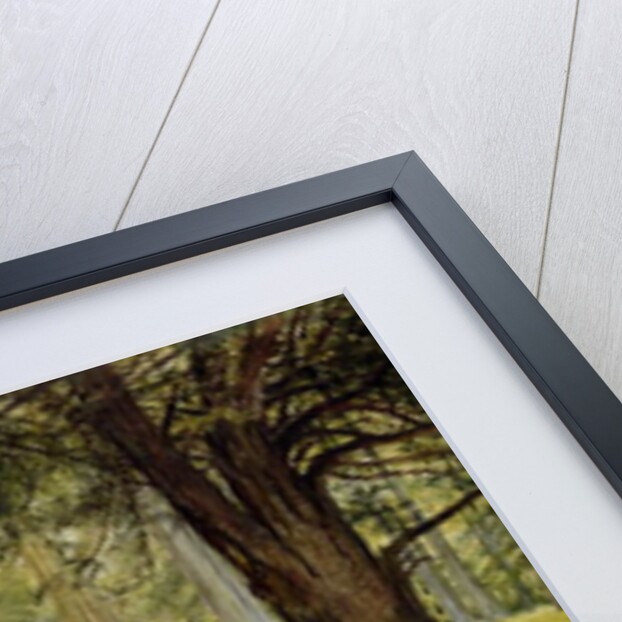 Parkhurst Woods, Abinger, Surrey by Richard Redgrave