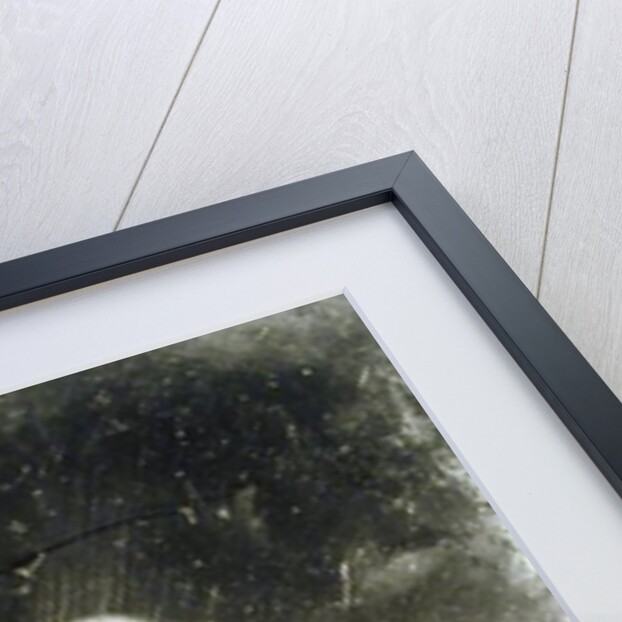 William Cullen Bryant c.1851-60 by Mathew Brady