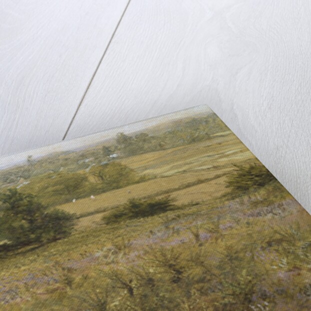 The Furze Field, 19th century by Samuel Palmer