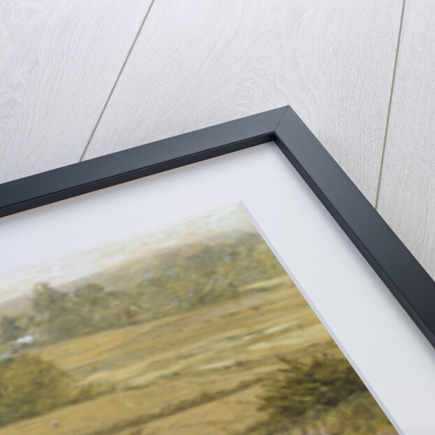 The Furze Field, 19th century by Samuel Palmer