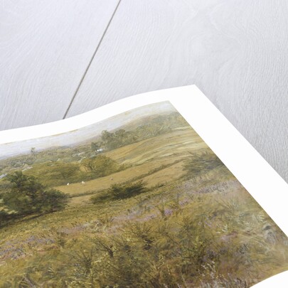 The Furze Field, 19th century by Samuel Palmer