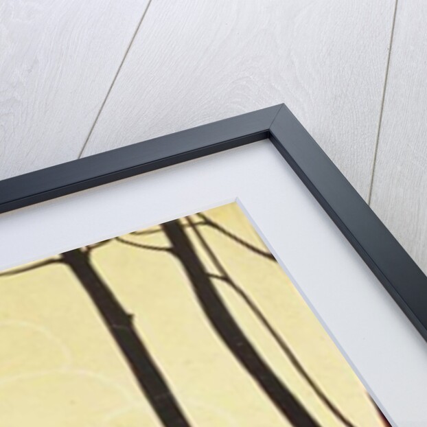 Walking the Dog by French School