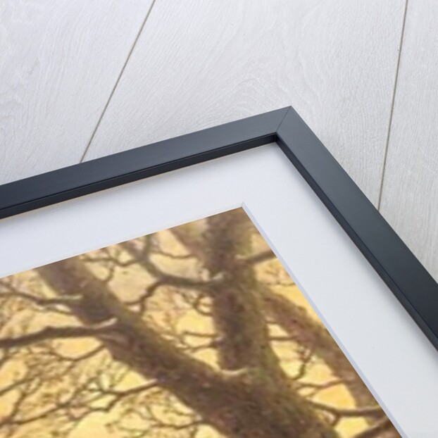 Gathering Winter Fuel by Johannes Hermann Barend Koekkoek