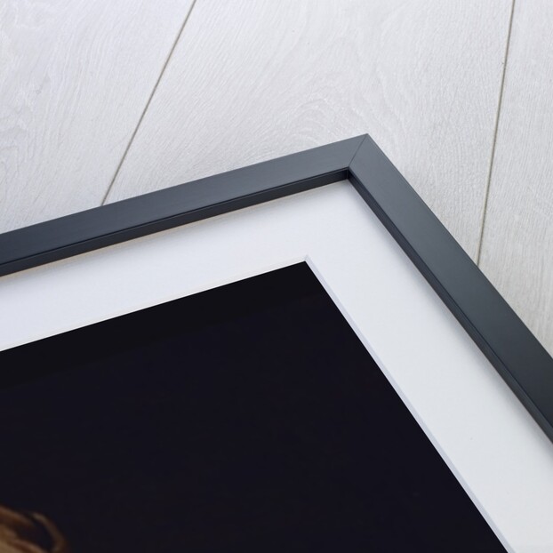 Young Woman Playing a Mandolin by Cornelis Bega