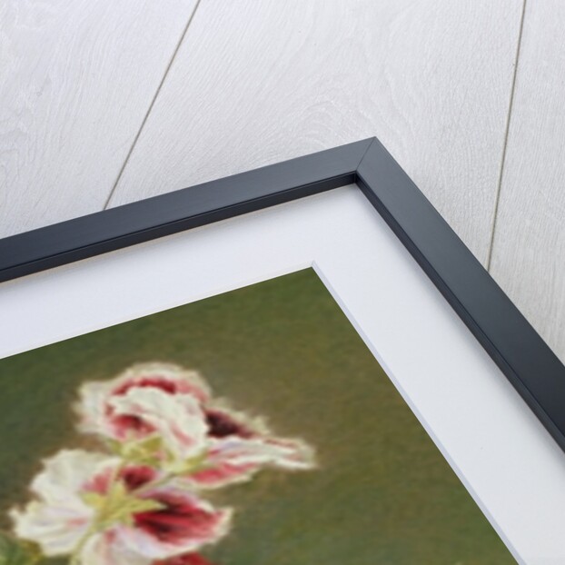 Roses, Poppy and Pelargonia by James Holland