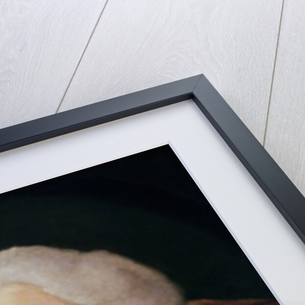 Dr. Samuel Johnson, 1775 by Joshua Reynolds