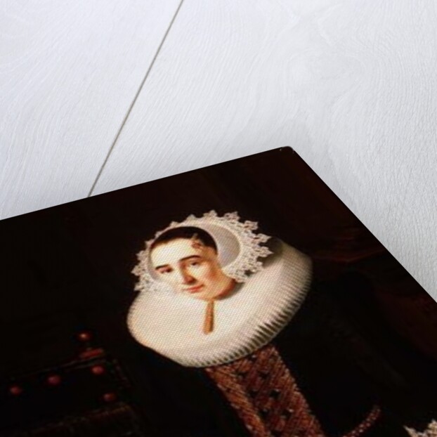 Portrait of a Lady, said to be Princess Sohns by Adriaen Hanneman