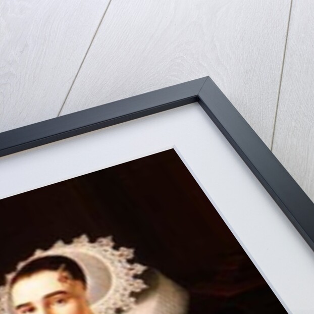 Portrait of a Lady, said to be Princess Sohns by Adriaen Hanneman