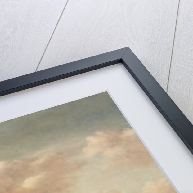 Poultry Market by a Church by Barend Gael or Gaal