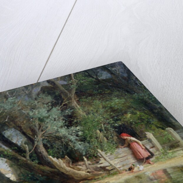 The Duck Pond by Eduard Heinel