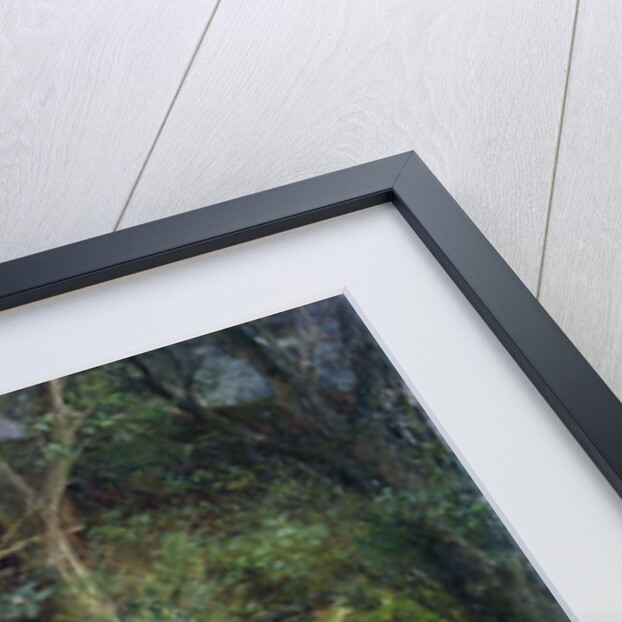 The Duck Pond by Eduard Heinel