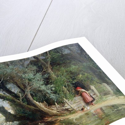 The Duck Pond by Eduard Heinel