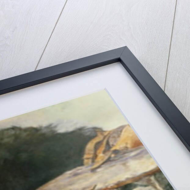 The Gamekeeper's Companion by William Strutt