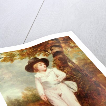 John Charles Spencer, Viscount Althorp, 1786 by Joshua Reynolds