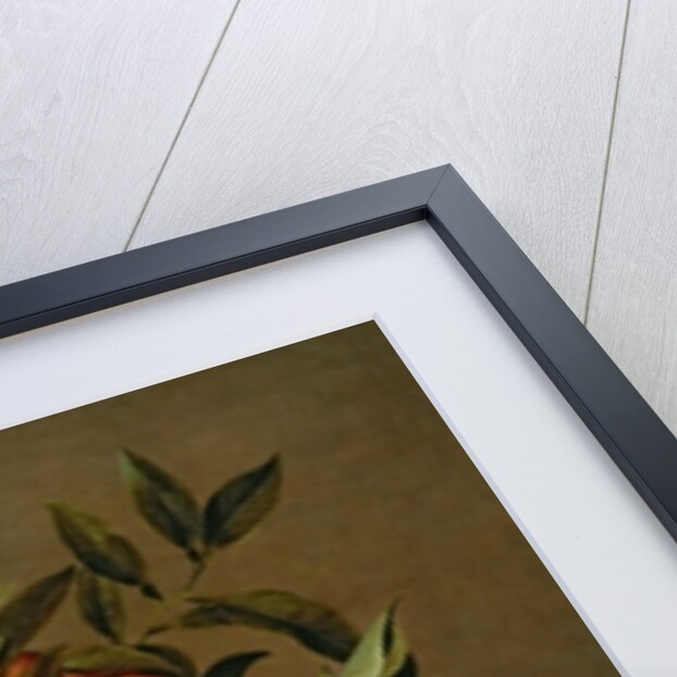 Still Life with Oranges and Lemons in a Wan-Li Porcelain Dish, 17th century by Jacob van Hulsdonck