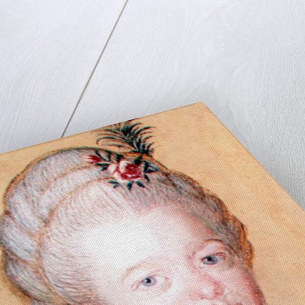 Portrait of the daughter of Carl Linnaeus by Swedish School