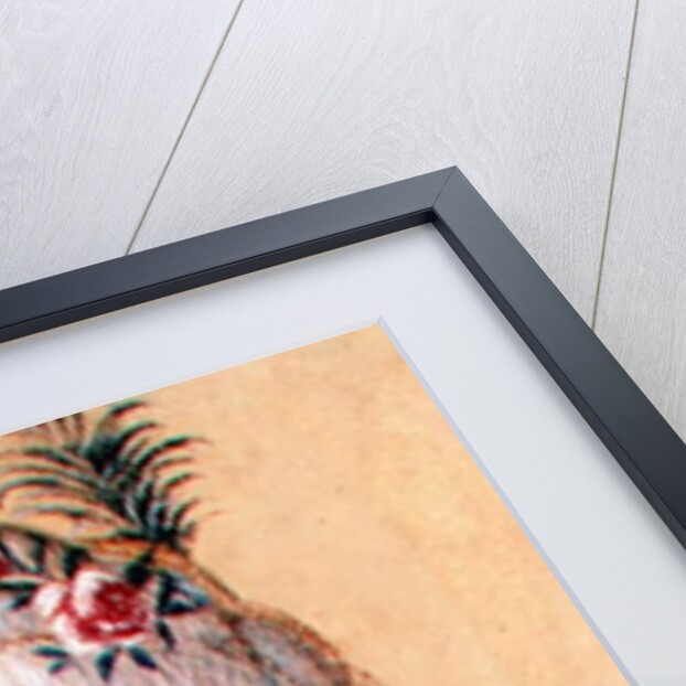 Portrait of the daughter of Carl Linnaeus by Swedish School