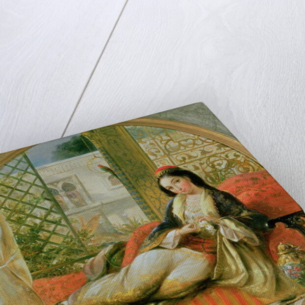 In the Harem by Anonymous Anonymous