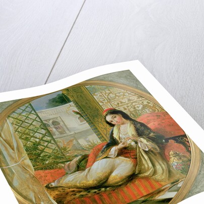 In the Harem by Anonymous Anonymous