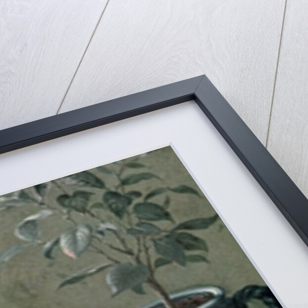 The Favourite Monkey of Carl Linnaeus by Gustavus Hesselius