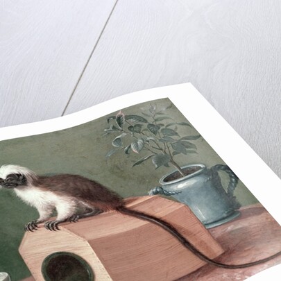 The Favourite Monkey of Carl Linnaeus by Gustavus Hesselius