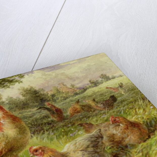 Cochin China Fowls, 19th century by George Hickin