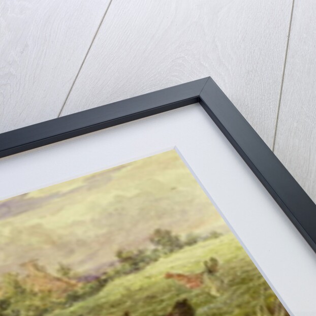 Cochin China Fowls, 19th century by George Hickin