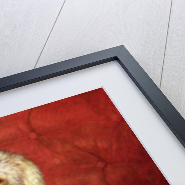 A Pair of Poodles by English School