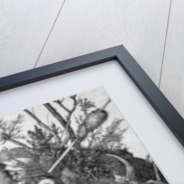 Knight, Death and the Devil, 1513 by Albrecht Dürer or Duerer