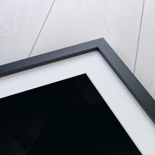 Doctor taking a young woman's pulse by Michiel van Musscher