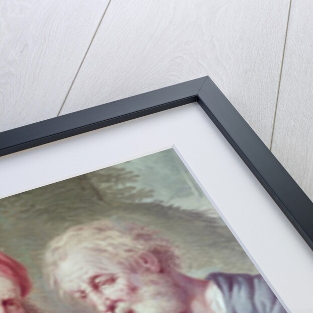 Illustration from Hortus Cliffortianus, by Carl Linnaeus published Amsterdam 1737-38 by Anonymous