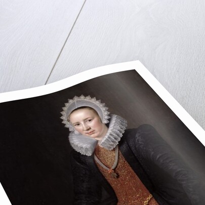 Portrait of a Lady aged 29, 1615 by Michiel Jansz. van Miereveld