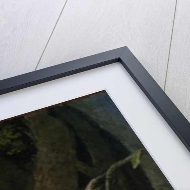 Portrait of a Monkey dated 1774 by George Stubbs