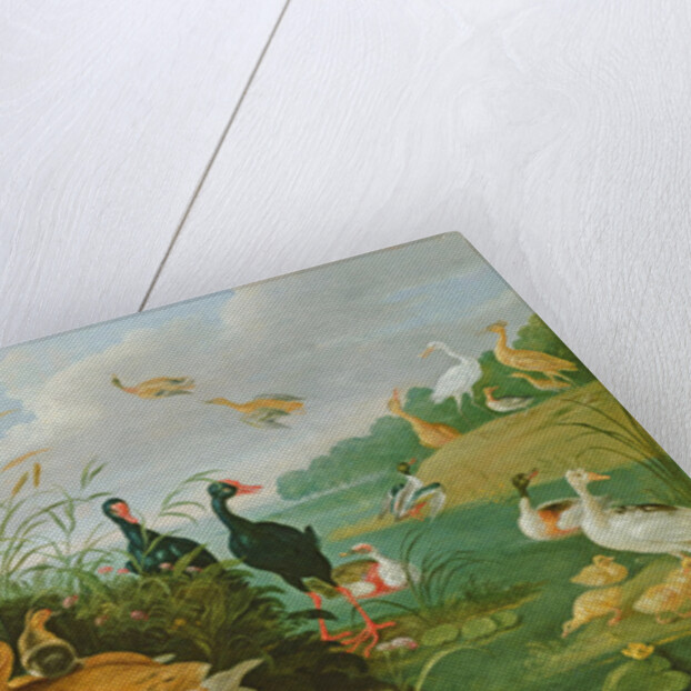 Decorative fowl and ducklings by Jan van the Elder Kessel