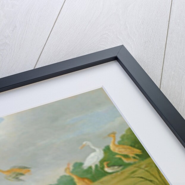 Decorative fowl and ducklings by Jan van the Elder Kessel