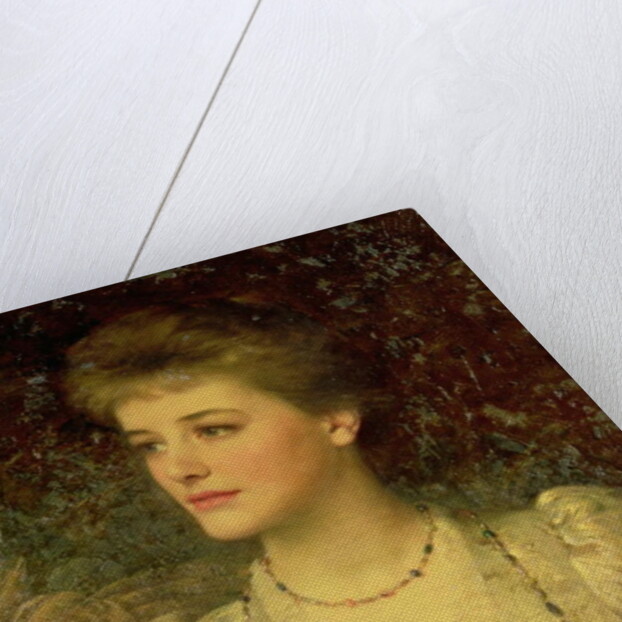 Lady Palmer by Frank Dicksee