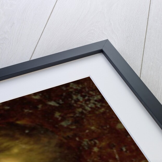 Lady Palmer by Frank Dicksee