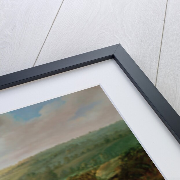 Greyhounds by Benjamin Cam Norton