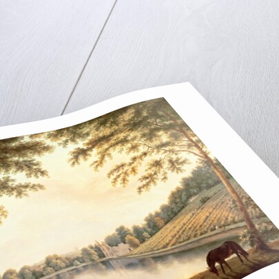 A View of the Lake and ruins of the Abbey at Painshill, Surrey by G. and Gilpin S. Barrett