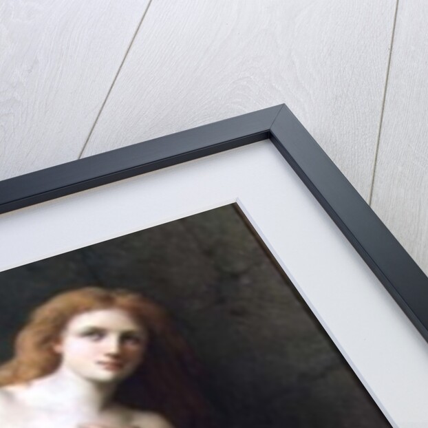 The Slave by Dominique Magaud