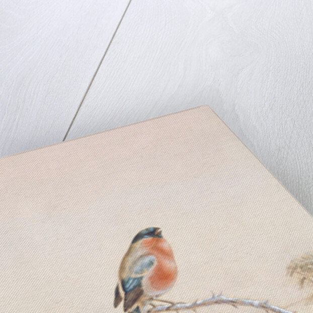 Winter scene with Chaffinch and Holly by Henry Bright