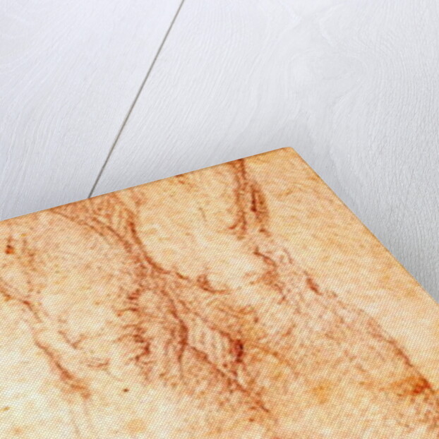 Study for a Crucifixion by Michelangelo Buonarroti