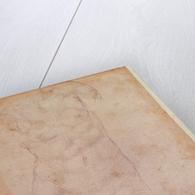 Study of a Female Nude by Michelangelo Buonarroti