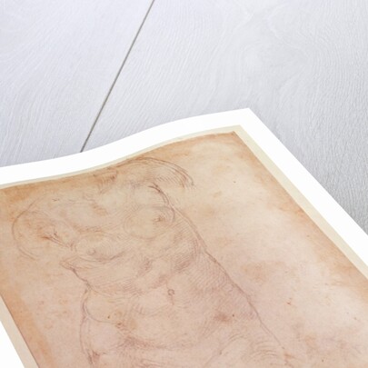 Study of a Female Nude by Michelangelo Buonarroti